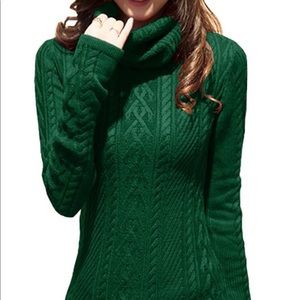 Long Turtleneck Cowl Neck Sweater Dress